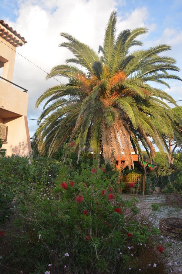 Apartmán Rose De Sel Hyères Exteriér fotografie